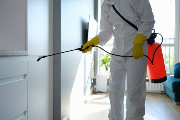 Best HVAC Mold Remediation in Lake Camelot, WI