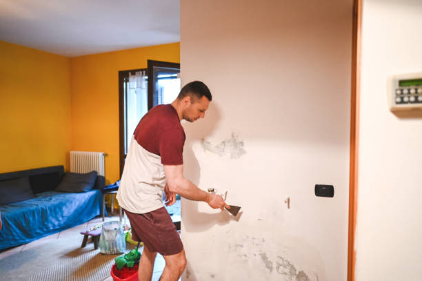 Best Post-Remediation Services in Lake Camelot, WI